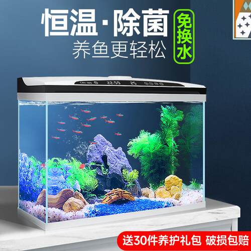 智能懒人金鱼缸超白玻璃缸恒温过滤制氧All客厅小型家用水族箱
