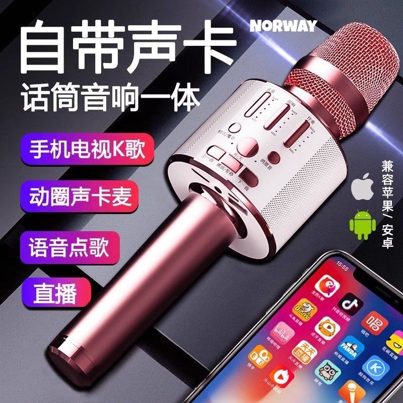 德国无线蓝牙话筒音响一体麦克风手机K歌自带声卡家用电视全民唱