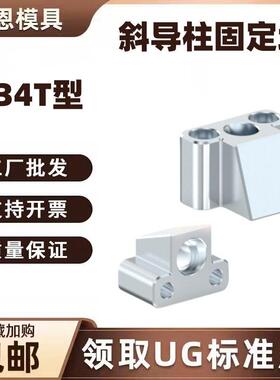 Y34T斜导柱固定块-T型斜导柱固定座斜边固定座尚恩模具燕秀标准