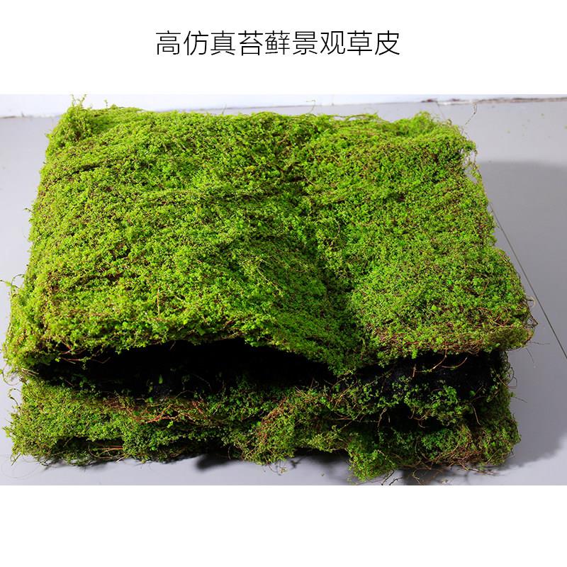 高端彷真棕丝加厚苔藓草皮景观草皮草坪假苔藓装饰植物造景配料
