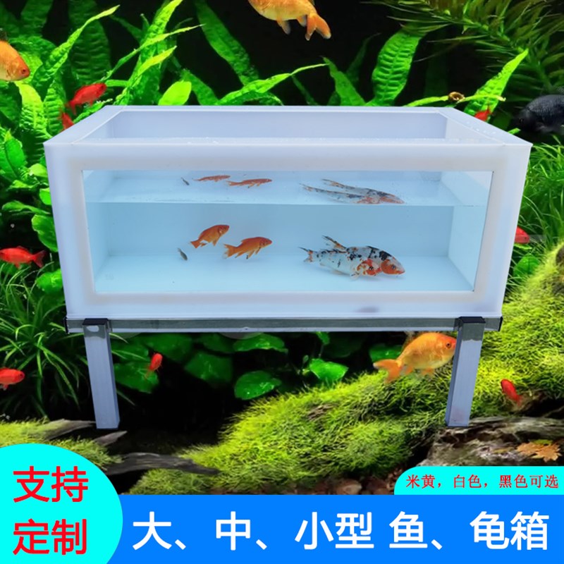 乌龟锦鲤鱼缸客厅中型新玻璃塑料半透明大型鱼缸池可定制订做专用