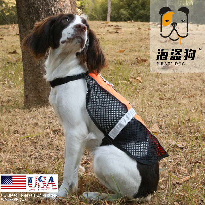 宠物透气反光背心春夏夜行衣狗狗警示衣工作犬马甲中小型犬透气