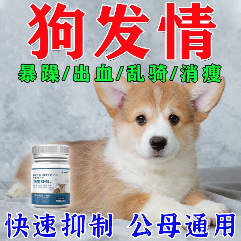 【不开刀】狗狗绝育 永久性犬用绝育药狗用品大全防止狗发情乱爬