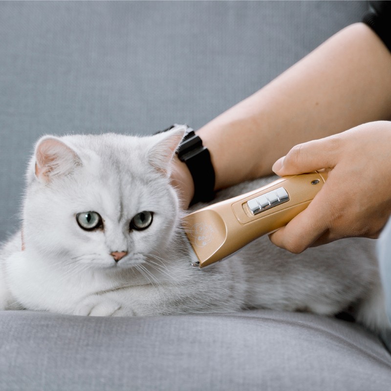 宝德龙宠物电推剪猫咪狗狗剃毛器专业泰迪理发器大功率狗毛电推子