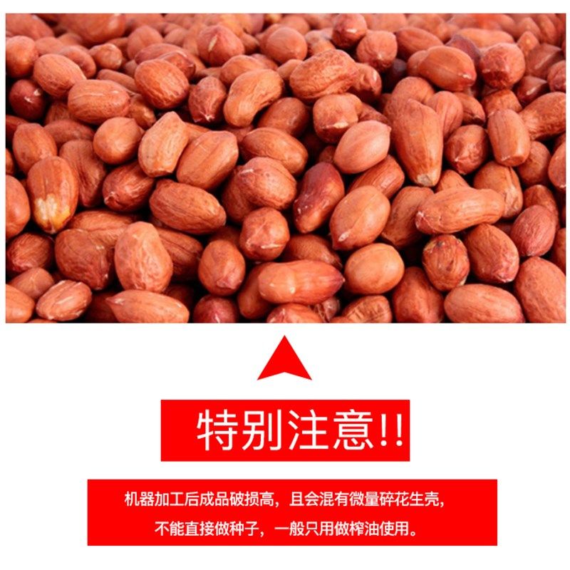 花生脱壳机家用小型剥壳机自动剥皮机榨油坊配套脱皮去皮机清皮机,农机/农具/农膜,农产品加工设备,淘宝优惠券,粉丝福利购,淘宝优惠卷