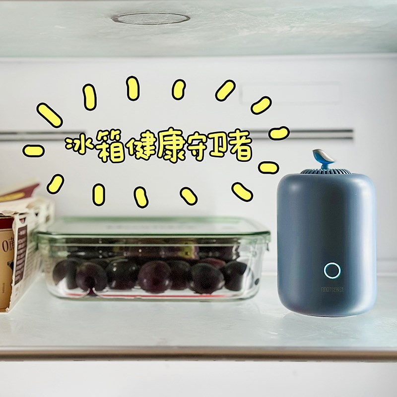根元灯笼冰箱除味器除臭蛋去味净化臭氧消毒杀菌保鲜神器除味剂