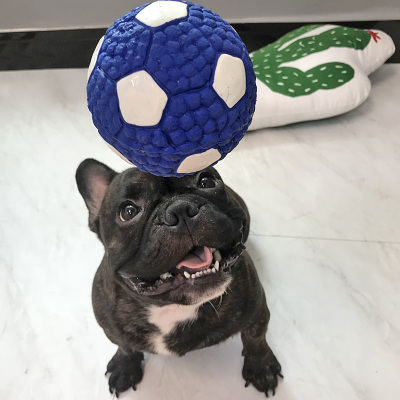 狗狗玩具发声玩具球泰迪法斗小狗金毛大型犬磨牙耐咬幼犬宠物用品