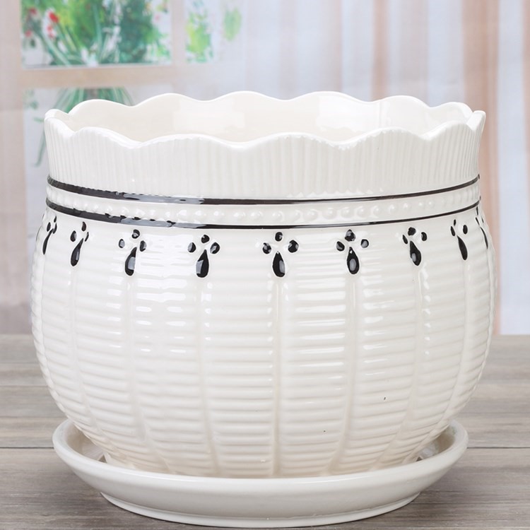 花盆陶瓷新品大号特大号发财树文竹蝴蝶兰盆栽花盘带托盘室内专用