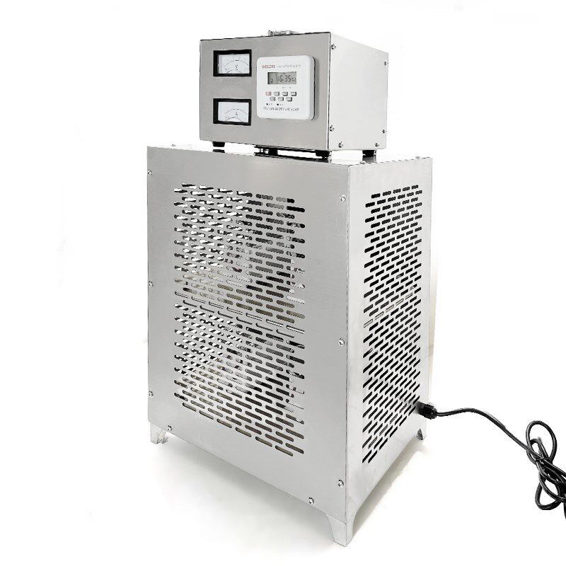 20g内置式中央空调臭氧消毒机食品厂车间仓库空气净化臭氧发生器