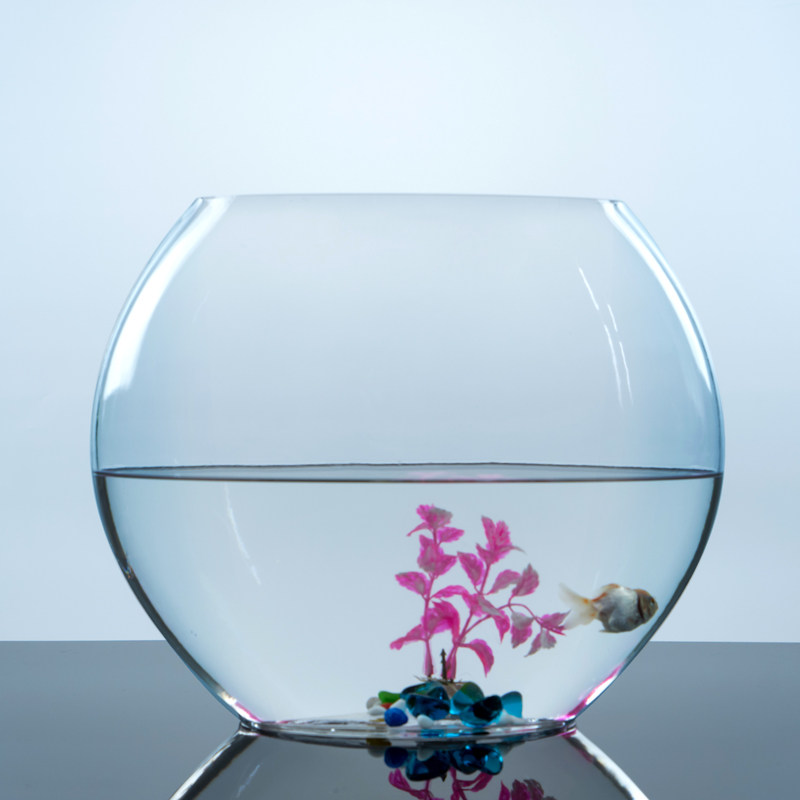 扁口玻璃圆形透明鱼缸家用小型迷你乌龟缸客厅办公室水培器皿容器