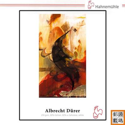 Hahnemuehle哈内姆勒210克阿尔伯特杜勒艺术纸艺术微喷艺术相纸