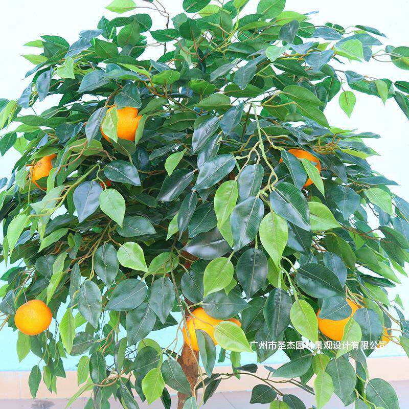仿真橘子树植假物室c3内果摆装饰客厅件仿真植物办公室树绿植盆栽