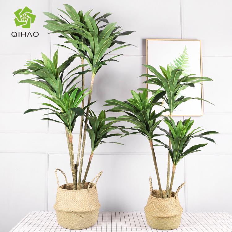 装饰仿西真绿植巴铁树客厅仿真QH-53054树植窗物落地橱树仿真龙血