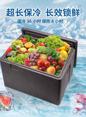 6可4L重复使用轻便绿色环保冷配送EP链P保温箱冷CS-EP48A藏箱送配