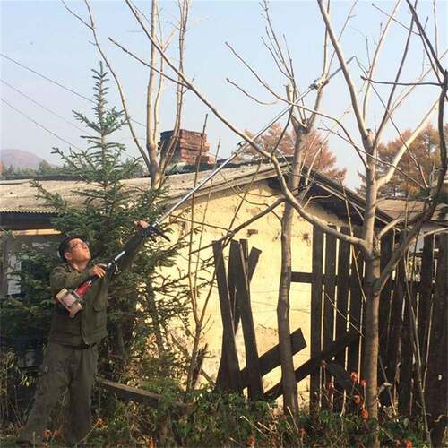 Highbranchscis林sorKHSs小型可拼接式汽修剪机背负油式园高枝锯