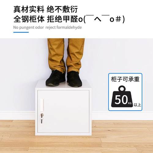 钢门双件层储物柜文柜学校学生宿舍ALH制收纳箱家单用办公铁皮钥