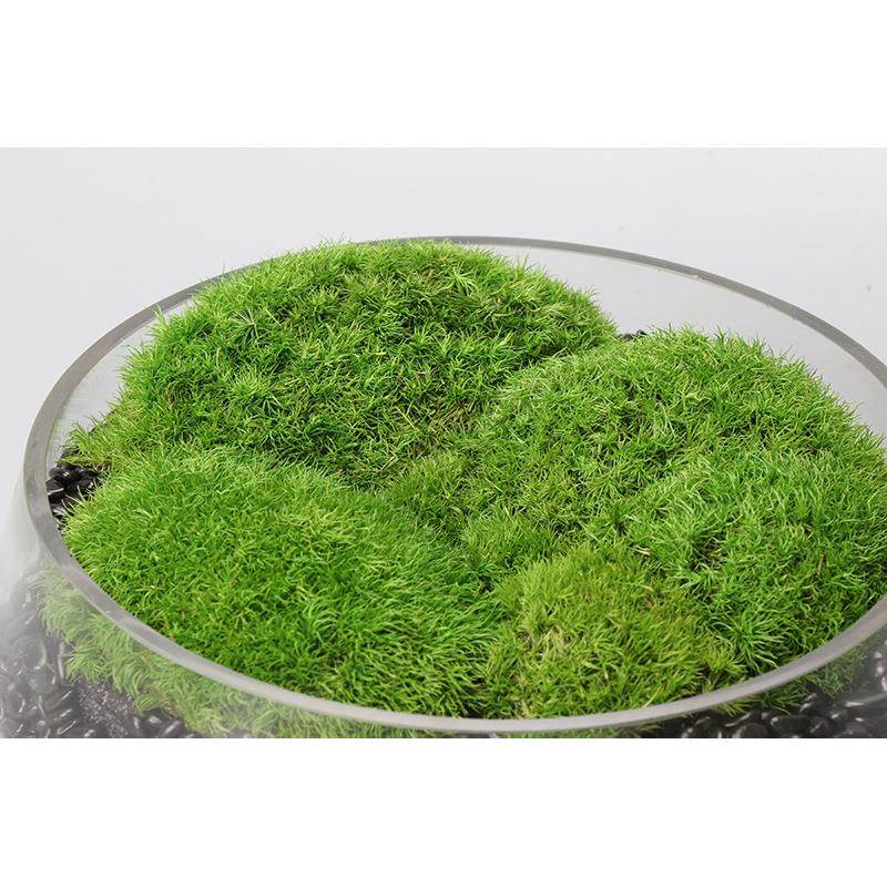 中式现代简约轻奢永真生苔藓花藓干YY-059绿苔植花艺盆景洽谈桌餐