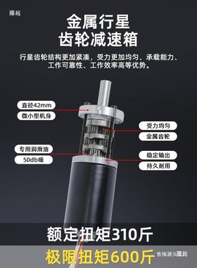 行星齿轮无直流减速2电机1v2v4可LUT调慢速4260大扭力微型刷电动