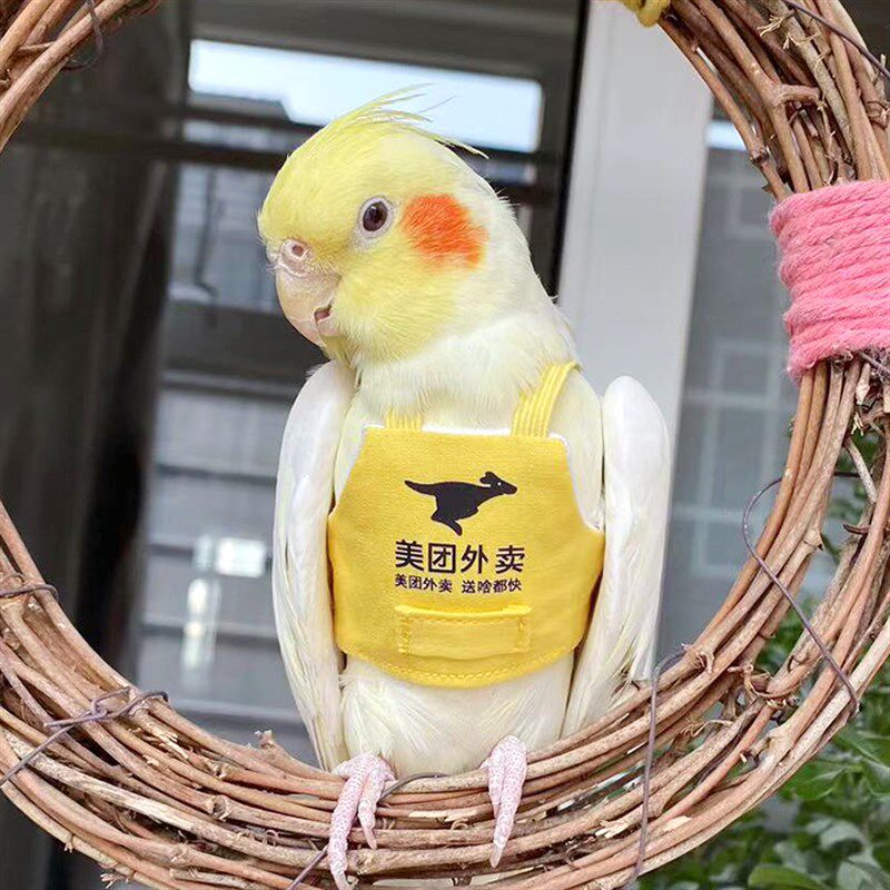 鹦鹉牵引绳马甲小肚兜鸟飞行绳玄凤衣服牡丹虎皮外出遛鸟纯棉抱婴