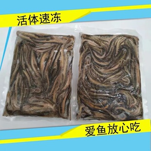 泥鳅段小黄鱼白条麦穗虾仁林蛙龙鱼魟鱼虎鱼饲料冻南美虾冷冻鱼食