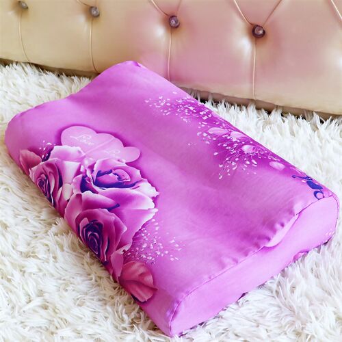 全棉乳胶枕套单人记忆枕专用枕头套成人60x40男女秋冬学生30X50