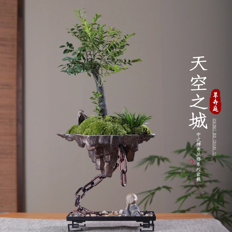 小叶紫檀盆栽植物黑骨茶盆景天空之城室内办公室桌面好养绿植树苗