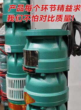 厂家直供J深井潜泵高扬程水农业灌溉REQ水铸铁深水Q潜泵多级深井