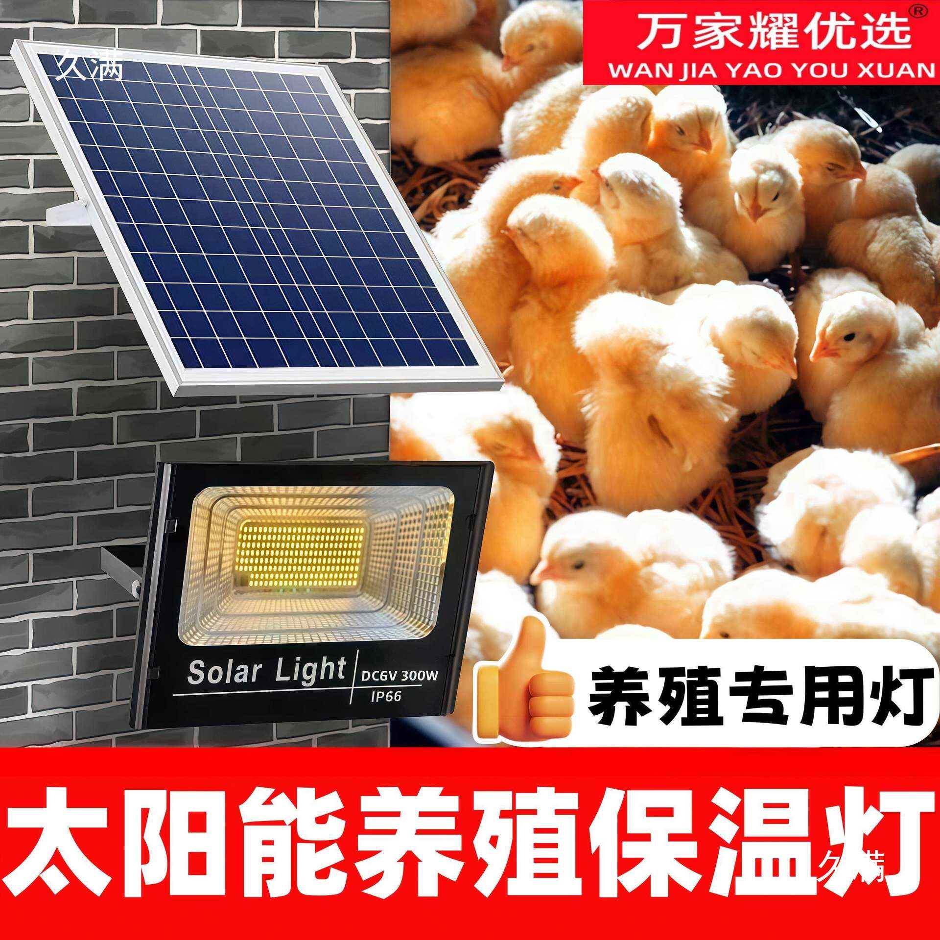 太阳能加灯鸡小育雏温保SXK温灯养殖场芦丁鸡热猪场宠物加取暖灯