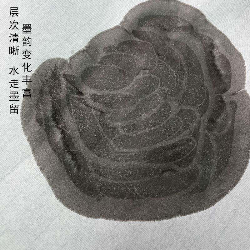 四尺加厚生宣纸年份宣纸熟815工笔小楷书作法国画创精包装收藏美