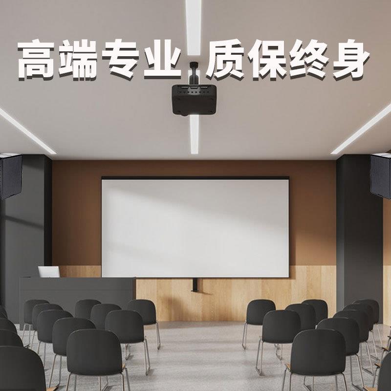 工YS-ZY201厂直销度5寸挂壁式会议室多角可调节专业会音议音响箱