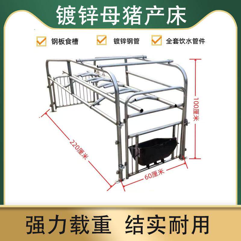 落地式母猪产床母猪位简易产床定位栏加厚全套母猪笼猪栏老母猪栏