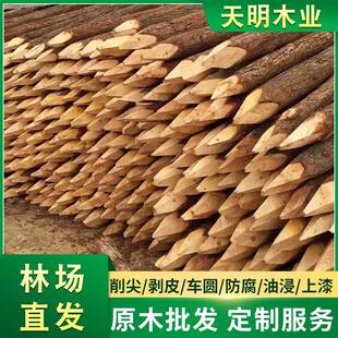 杉桩打桩PPT木户外河道护坡木防木腐松木圆桩防洪木桩落叶松原木