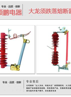 RW912/200北龙A户外1SPD-19690KV高压户外跌落式大须东式熔断-器