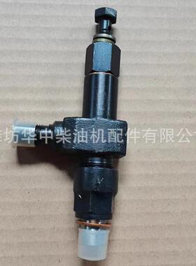 潍坊柴油机喷华油嘴002潍柴喷油嘴ZH10丰0/ZH4102/ZH4105喷4油器