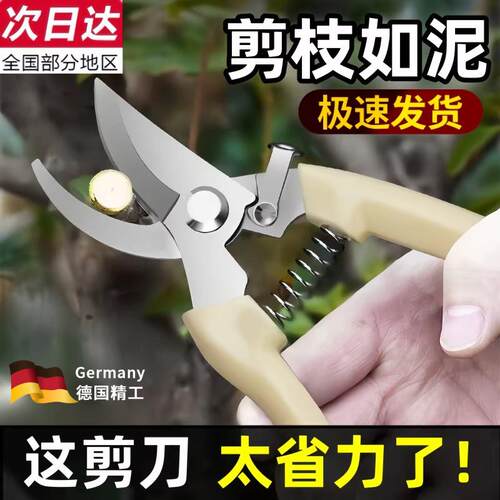 不锈钢树枝修枝剪采摘水果花木剪园林果树花卉枝嫁接园艺剪刀工具