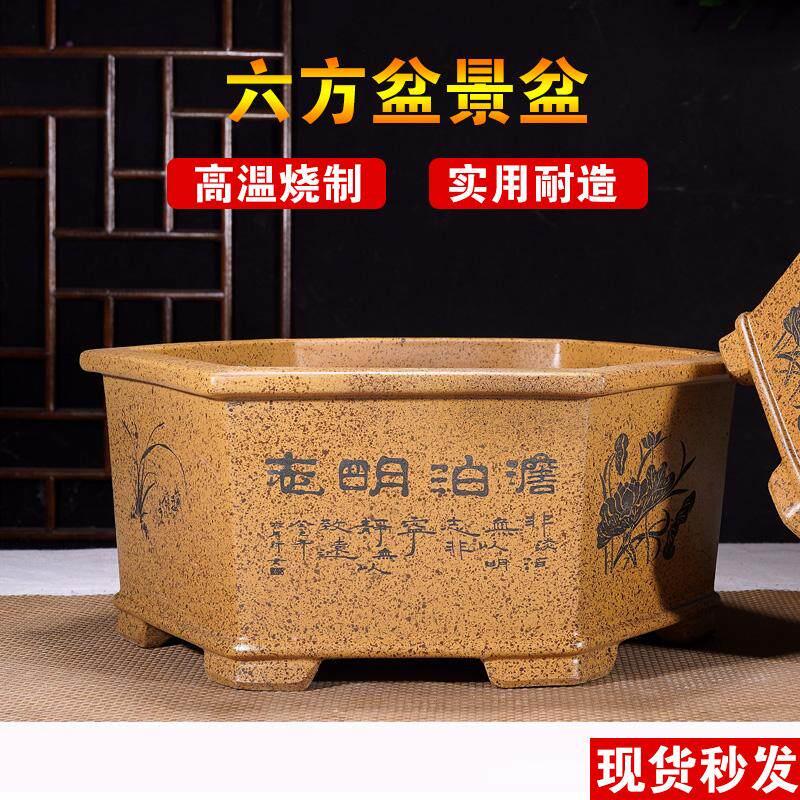 宜兴紫砂高档特大号六角花盆家用庭院室内种树盆陶瓷梅花盆景花盆