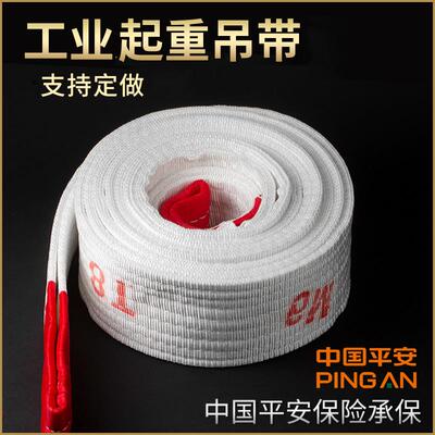家现绳货工业吊装带捆绑带15厂吨扁平吊带JAT起重吊材高强丙纶质