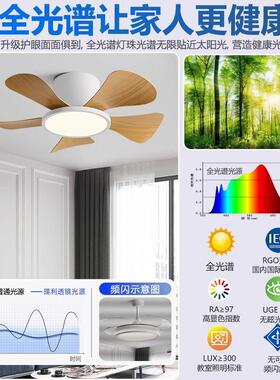 顶风扇DBI灯卧室餐厅20吸25新款吊扇灯用阳台道书房过带电风家扇