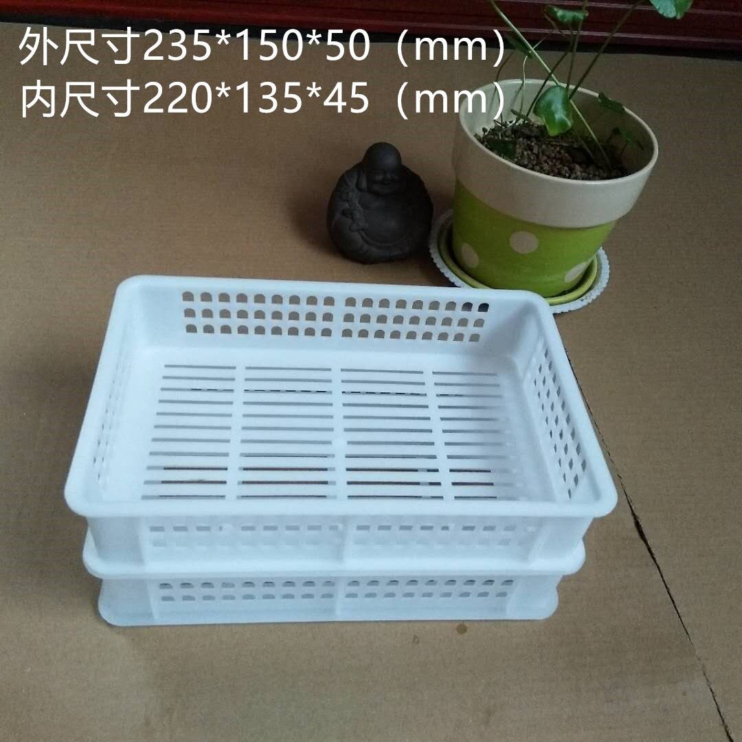 2斤蓝莓采摘筐 厂家塑料周转筐水果筐树莓黑莓采摘筐