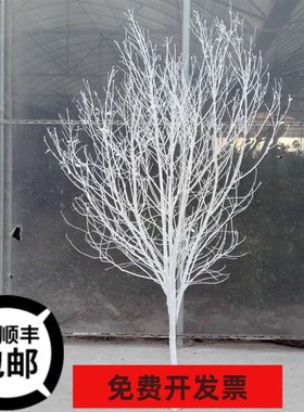 干树枝干枝白色树干许愿树橱窗枯树杆婚庆路引道具装饰落地摆件树