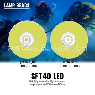 水下明手电SFT40灯珠20高0流明照按键0开关带电DT200量显示潜水灯