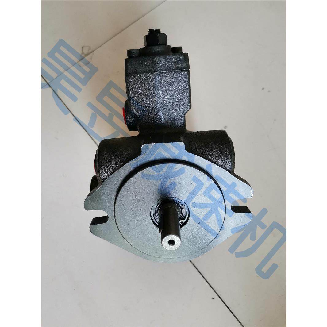 PLSHE变量片油泵2LSVPDF-2012-930A1-12VV1-0-20叶LSVPF-40-70