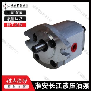 F1.2 F1.6 F2.0 淮安长江齿轮泵CBWmb F3.0 F1.0 F2.5 AL1P CBWma