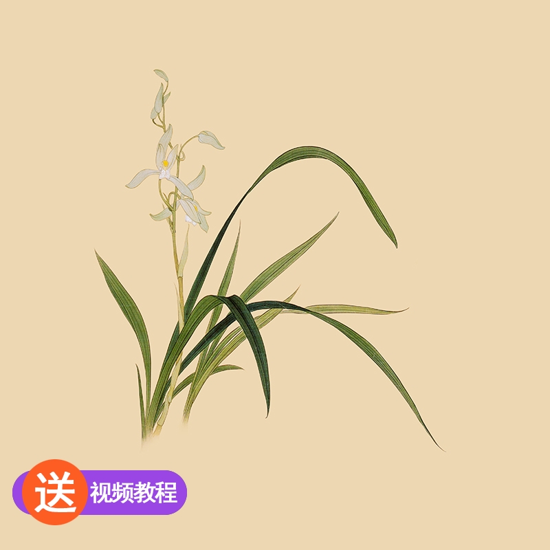 苏绣刺绣手工diy套件自绣材料包初学简约入门针迹兰花蝴蝶苏州