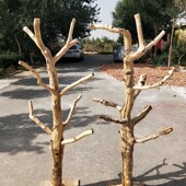 假树枝枣树枯树装 饰树猫爬架鸟架石榴树挂衣架 饰仿真树杆艺术装