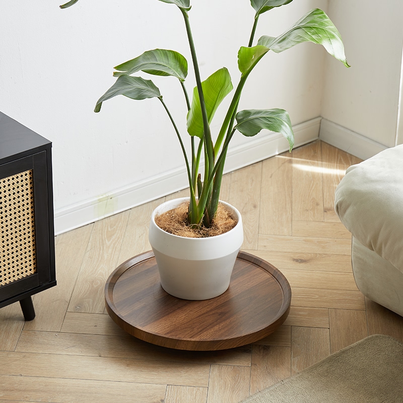 可移动花盆圆形托盘万向轮花盆底盘花店重物滑轮托盘滚轮接水底座