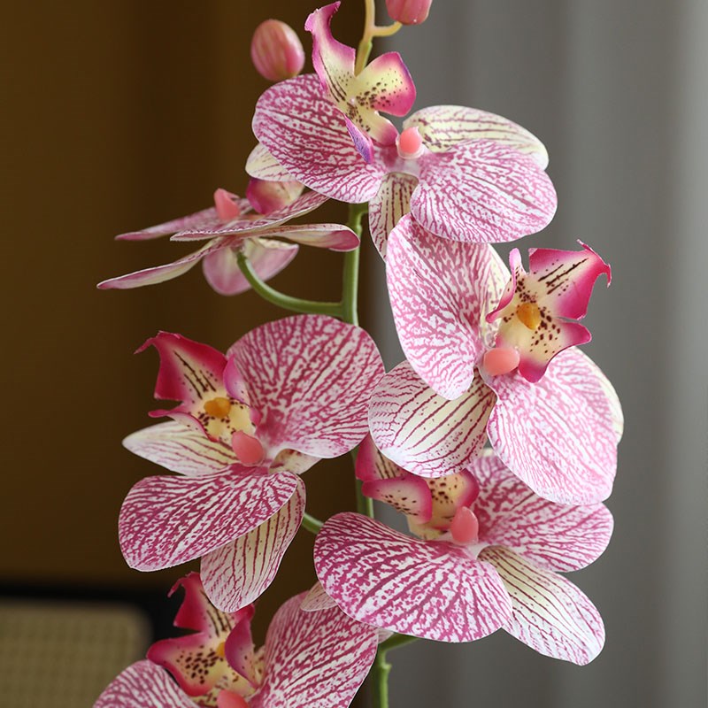 高品质蝴蝶兰仿真花假花盆栽摆设高档客厅餐桌桌面花卉摆件装饰品