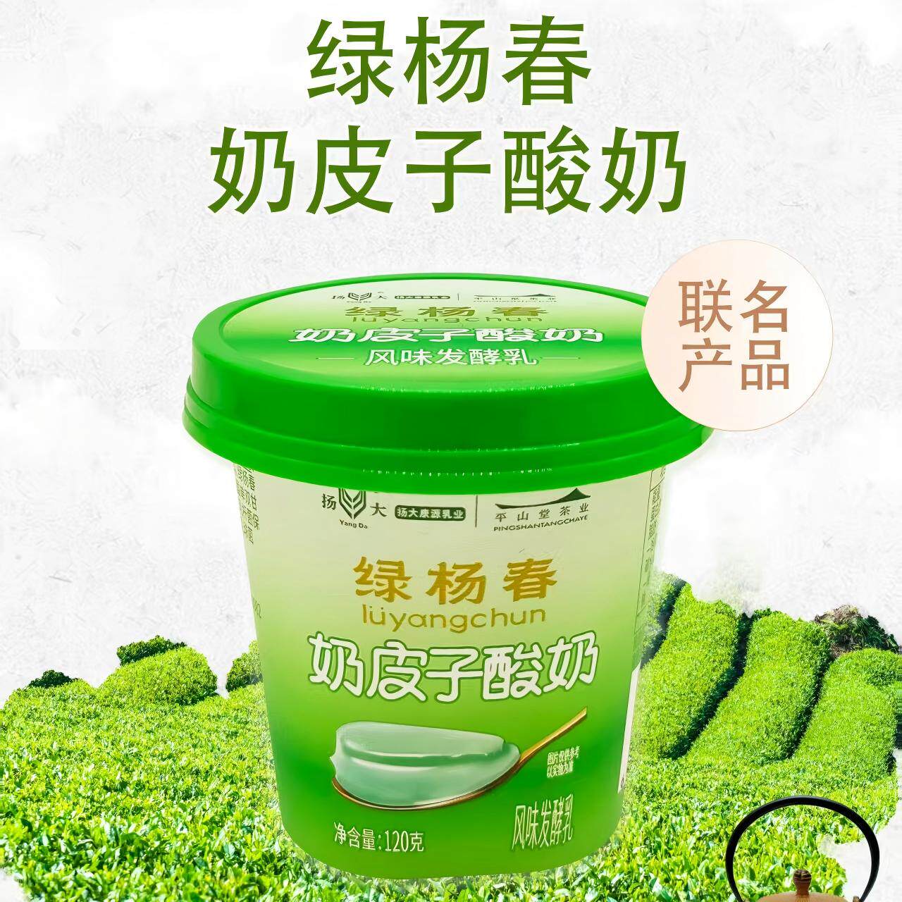 扬大酸奶绿阳春奶皮子新品芭乐酸奶扬大茉莉花酸奶百年好喝发酵乳