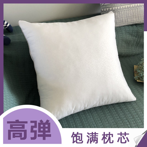 抱枕芯45x45cm大靠枕芯皮内胆套沙发B靠垫x60x65x80床上长方形x85