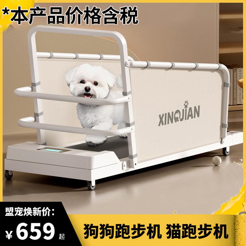狗狗跑步机犬用猫咪跑步机比熊泰迪柯基宠物跑步机中小型犬走步机